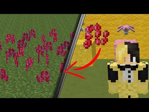 Como conseguir la Red Chain (Cadena roja) en pixelmon *todas las versiones*