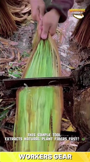 Simple & Efficient Banana Fiber Extractor for Stripping Natural Plant Fibers and Craft Materials