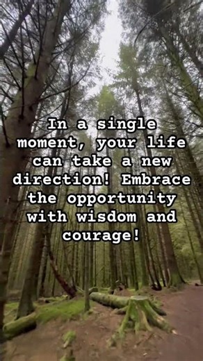 🚨 Life-Changing Split Second! 🤯 Be Wise! #ViralMoment #LifeChoices