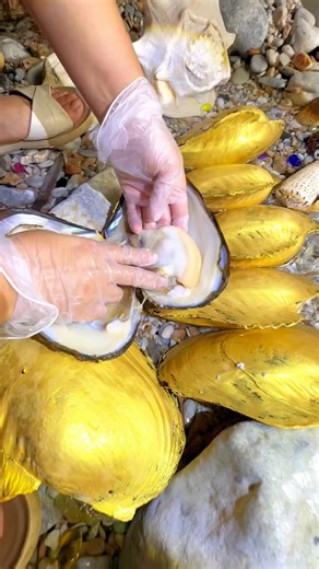 What a magical moment! ✨ There's nothing quite like the thrill of opening an oyster and discovering the hidden treasures within. Each pearl holds its own unique charm, a tiny piece of the ocean's magic. This experience truly made my day! Have you ever found a pearl? Share your story below! #PearlDiscovery #OceanTreasures #HiddenGems #PearlHunting #TravelMemories | SocialSphere Central
