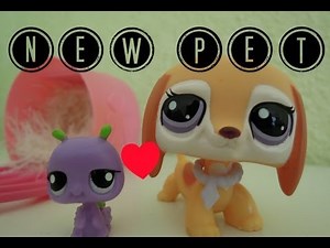 LPS: Getting a pet! -Pet adoption