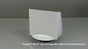 Watch Lab Storage Bin on Amazon Live
