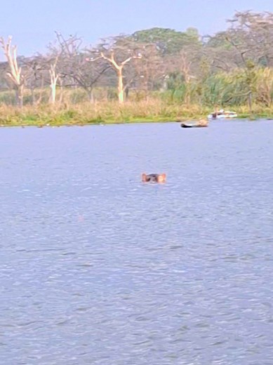 Exploring Lake Hawassa: Nature & Sunset Tour