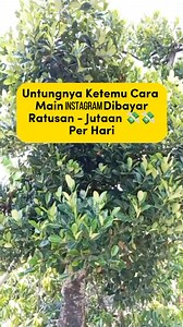10K reactions · 168 shares | Temukan 20 Tips Pengembangan Karir...