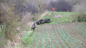 Poľovníci, tak toto video (poľovačka na diviaky) naozaj stojí za pozretie!