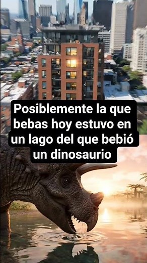 El ciclo infinito del agua