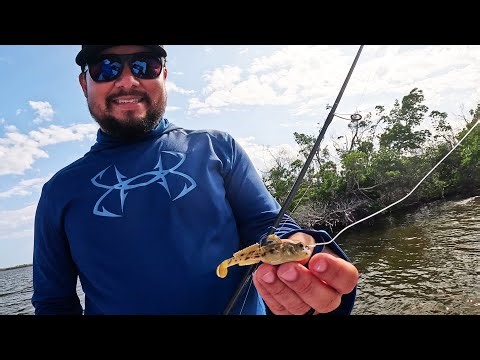 Z-Man Lure Designer Schooled Me With This New Fishing Lure!