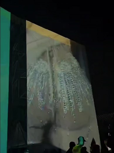 Experience Akon's Live Performance Reaction