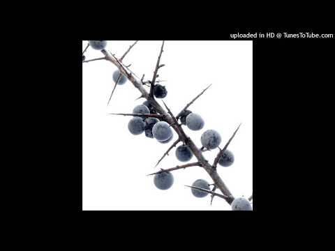 [free for profit] ambient + experimental type beat "wish"