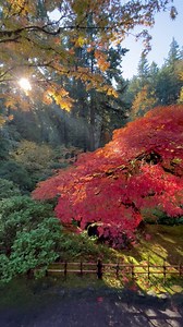 Bookmark this for your next staycation. | Portland Japanese Garden