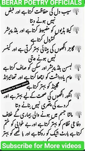 right #quotes #rumiaqwal #islamicchannel #motivation #islamictv #bestquotes #islamictvchannel