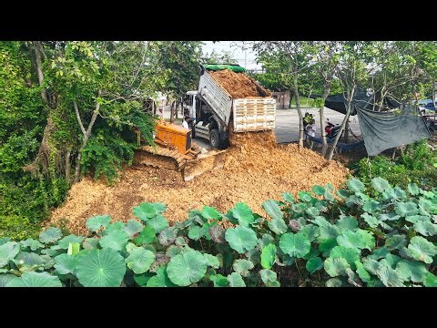 New Landfill Project! Clearing a Pond with a Dozer & 5-Ton Dump Trucks