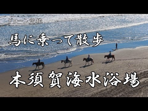 馬に乗って散歩「本須賀海水浴場」【ドローン空撮 4K】