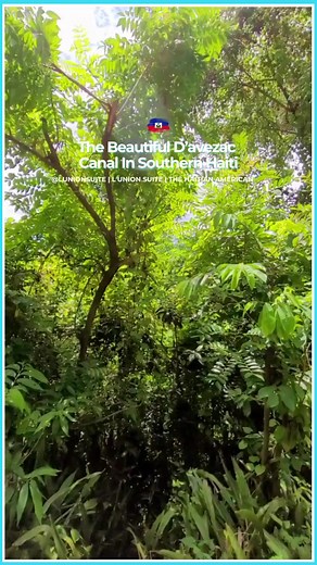 11K views · 166 reactions | A look at the beautiful Canal d’Avezac in...