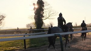 We have been supplying targeted nutritional formulations for over 30...