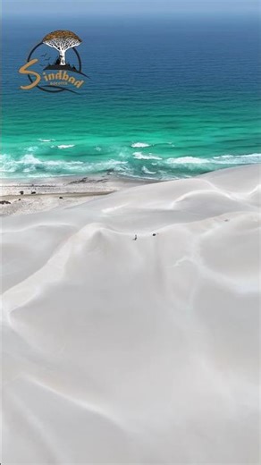 سقطرى تحفه فنيه طبيعيه من صنع الخالق Socotra