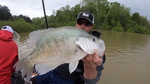 Some call Mississippi home to the best crappie fishing in the country. Oftentimes Sardis Lake is in that conversation. We flew to the South and hopped aboard with Reel Deal Crappie Guide Service to get a taste of the fishery. See how we did in this episode of Pautzke Outdoors! | Pautzke Bait Company