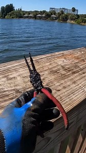 13K views · 86 reactions | More Tools__ | Treasure Tales | Facebook