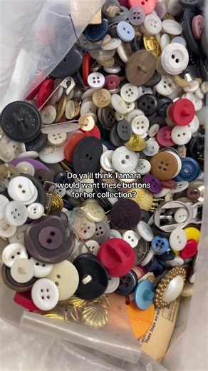 Unique 365 Button Collection for Thrift Enthusiasts