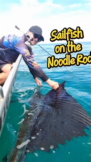 Sailfish on the Insalt Noodle Rod 1-2kg