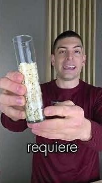 Levadura fresca vs levadura seca: La diferencia