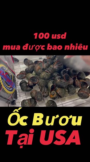 4K views · 50 reactions | Han Thai Tu on Reels | Facebook