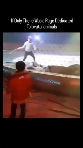 Wildlife Dark Side 🦍🐊 | 👉𝗦𝗲𝗲 𝗺𝗼𝗿𝗲 𝗵𝗲𝗿𝗲 @Animals_brutality #animals #brutal #nature #wildlife #wildanimals | Instagram