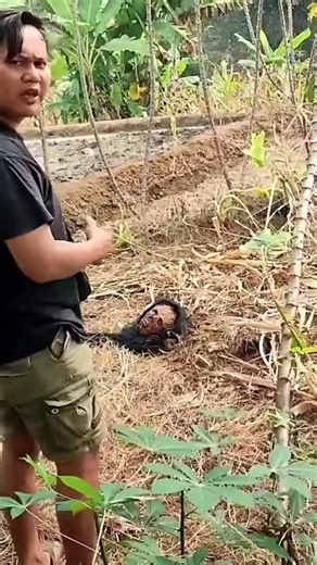 Look what they found 😱😱😱 #scary #shortvideos
