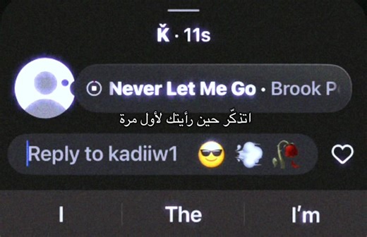 Never Let Me Go - Lana Del Rey Analysis