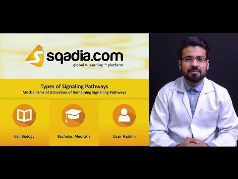 Types of Signaling Pathways | Mechanisms of Activation of Remaining Signalling Pathways
