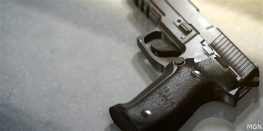 Montgomery mayor will sign ordinance banning concealed carry without photo ID