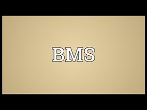 BMS Meaning