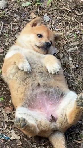 How should I write the plot of love#One cannot truly appreciate the joy of having a do