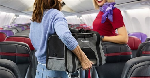 Virgin Australia extends 'Pets in Cabin' trial after huge demand