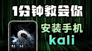 手机上装kali，秒变黑客（附工具包和技术实战教学）黑客/网络安全