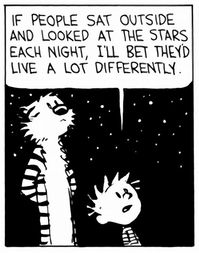 Calvin and Hobbes: Timeless Comic Strip Gems