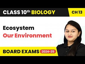 Ecosystem - Our Environment | Class 10 Biology Chapter 13 | CBSE 2024-25