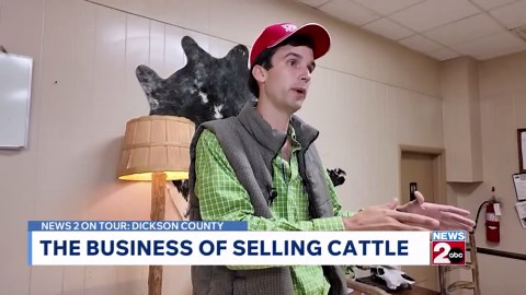 Cattle prices, crowds on the rise at Dickson Livestock Center