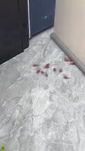 Menține-ți casa caldă și confortabilă chiar și în cele mai reci zile. 🏠 Acest opritor de ușă flexibil sigilează spațiul de sub ușă și oprește curenții de aer instantaneu. 💨 Te ajută să economisești la încălzire, în timp ce ține departe zgomotul și praful! 🔇 | PrimePick România