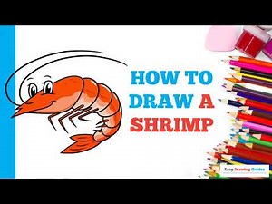 How to Draw a Shrimp in a Few Easy Steps: Drawing Tutorial for Beginner Artists