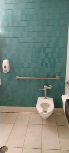 monkeys In the bathroom? at the Indianapolis zoo #bringingthezootoyou #animals #Indianapolis zoo