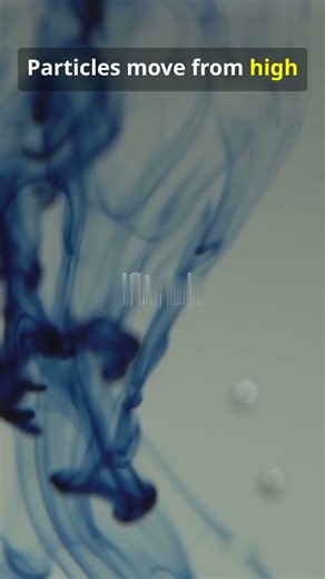 #Diffusion in Water – Particle Movement