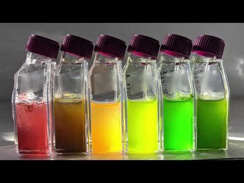 Magnificent microalgae