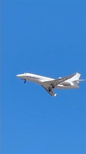 Dassault Falcon 8X flight to Cape Town #viral #dassaultfalcon #aviation #privatejet #airplane #yt