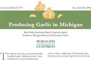 Producing Garlic in Michigan