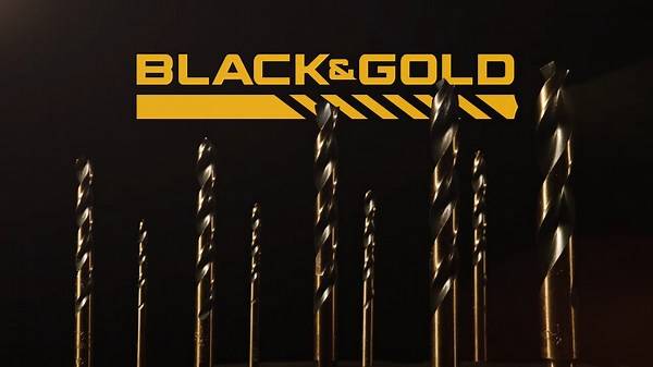 DEWALT Black and Gold Drill Bit Set (14-Piece) DWA1184