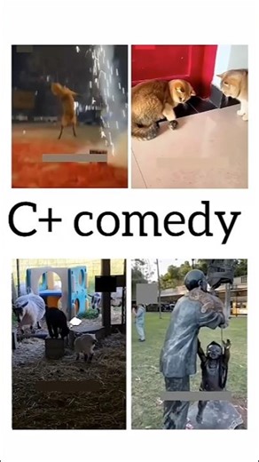 cute cute animals funny voice trending shorts video #cuteanimalsfunnyvideosshorts #funnycomedyshort