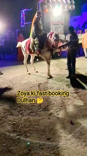 zoya ghodi ki fast booking #dance #horse #viralvideo #booking #zoya #viral #shorts #dulhan #djremix