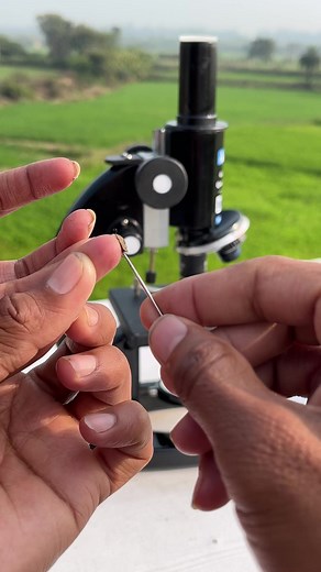 2.1M views · 46K reactions | Body Dirt Under Microscope 裂 | Out Of Mind | Facebook