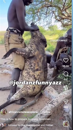 The warthog is one of the most vicious nish animals 😳 #jordanzfunnyazz #voiceover # #chuckles
